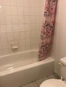 basement for rent - Photo 6
