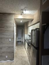 Perfect Student & Professional Apartment ! - Photo 29