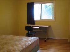 Two rooms at Meadowlands Dr. near CU and AC - Photo 2