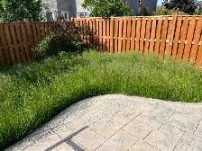 LAWN MAINTENANCE - Photo 3