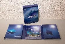 Lots of DVD Movies to Sell (or Trade) - Mint - Photo 5