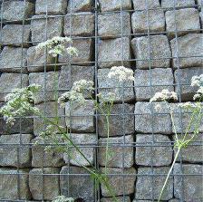 Cobblestone pavers  - West coast speckled granite - Photo 5
