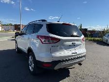 2014 Ford Escape 4WD 4dr SE - Photo 5