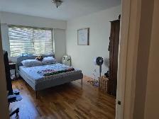 1 BEDROOM 1 BATHROOM SUITE MARPOLLE AREA - SELKIRK STREET - Photo 4