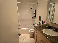 1 BEDROOM 1 BATHROOM SUITE MARPOLLE AREA - SELKIRK STREET - Photo 5