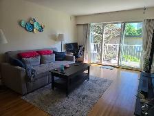 1 BEDROOM 1 BATHROOM SUITE MARPOLLE AREA - SELKIRK STREET - Photo 6