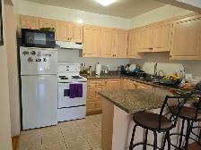 1 BEDROOM 1 BATHROOM SUITE MARPOLLE AREA - SELKIRK STREET - Photo 7