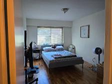 1 BEDROOM 1 BATHROOM SUITE MARPOLLE AREA - SELKIRK STREET - Photo 8