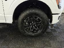 2026 Ford F-150 XLT | TOW/HAUL PACKAGE | BED UTILITY PACKAGE - Photo 6