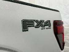 2026 Ford F-150 XLT | TOW/HAUL PACKAGE | BED UTILITY PACKAGE - Photo 11