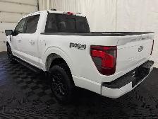 2026 Ford F-150 XLT | TOW/HAUL PACKAGE | BED UTILITY PACKAGE - Photo 13
