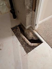 Strong helper need TODAY (Oakville)