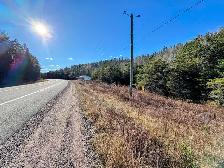 2 TERRAINS 10 ACRES - LA TUQUE - Photo 4