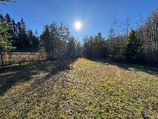 2 TERRAINS 10 ACRES - LA TUQUE - Photo 7