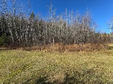 2 TERRAINS 10 ACRES - LA TUQUE - Photo 8