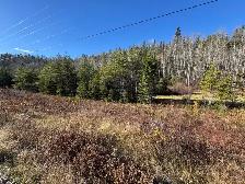 2 TERRAINS 10 ACRES - LA TUQUE - Photo 10
