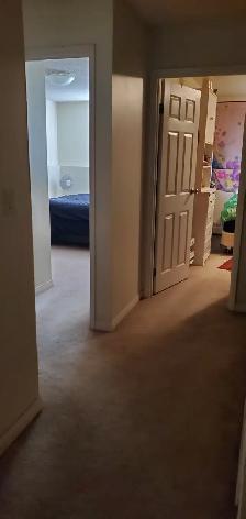 2 Bedroom Condo in Olds, Alberta - Photo 5