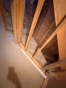 General Labour Services – Moving, Junk Removal, Yard Work & Demo - Photo 3