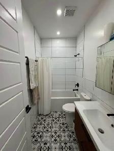 4 1/2 Renovated Apartment Rosemont - Photo 6