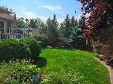 Room for Rent in East Regina