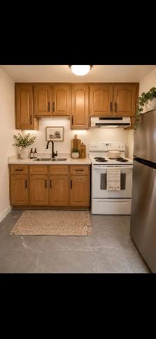 High Park-Roncesvalles Spacious Bright clean & quiet 1Bdrm - Photo 3