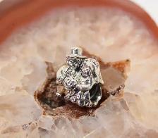 PANDORA BRIDE AND GROOM 791116