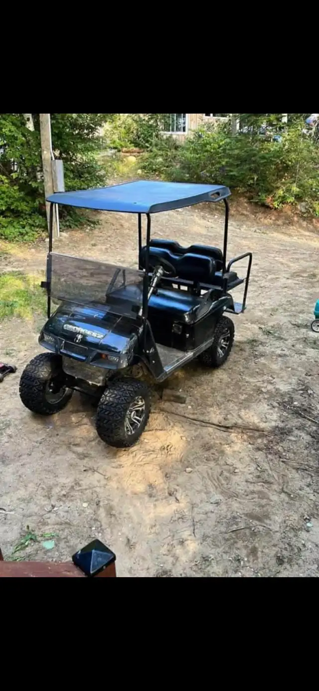 Kart électrique