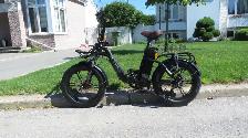 ET-CYCLE F720 ELECTRIC BIKE 20' X 4'