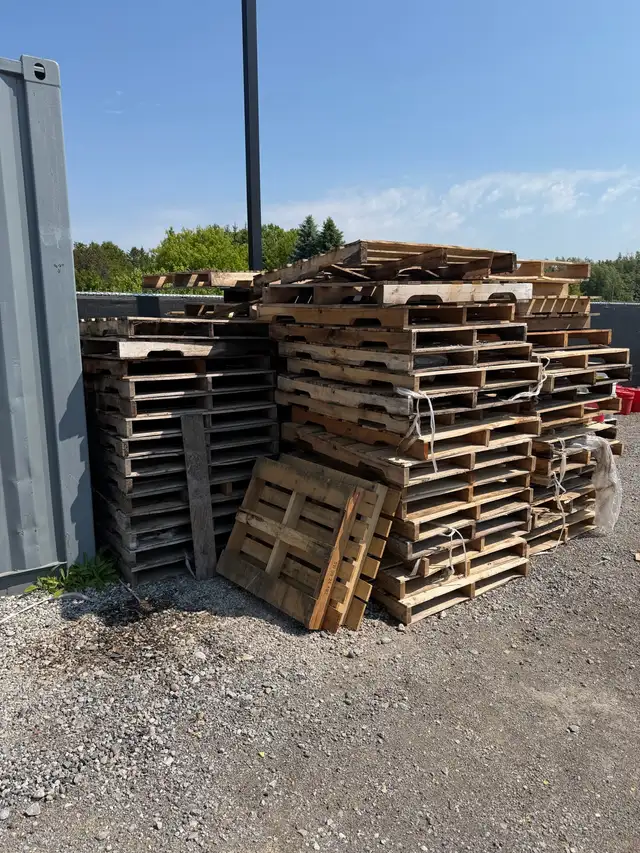 free pallets / Skids