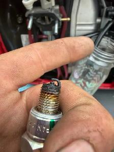 Small Motor Repair & Maintenance – Thunder Bay & Area - Photo 2