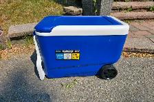 IGLOO COOLER