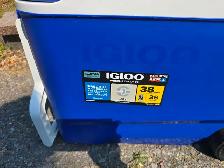 IGLOO COOLER - Photo 2