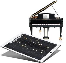 Steinway Spirio Grand Piano - Photo 3