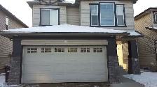 Walkout Basement for Rent - (Separate Entry)