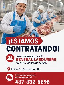 Looking for a General Labour (Male) – Georgetown, ON