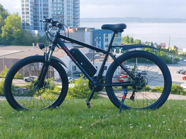 E-Bike – 350W, 36V 8Ah battery 21 speed gear
