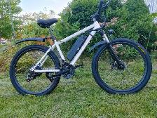 E-Bike – 350W, 36V 8Ah battery 21 speed gear - Photo 2