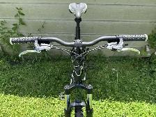 Mountain Bike - Photo 4