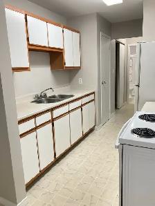ONLY ONE AVAILABLE - 2 Bedroom Apartment for Rent - Photo 4
