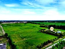 Limitless Possibilities With This 68.85 Acre Property