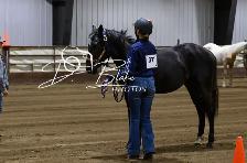 3 year old mare - Photo 6