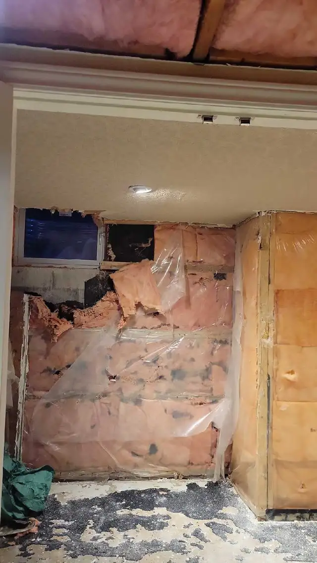 looking for helper to clean sites... $20/hr...
