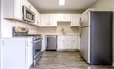 Spacious Basement Apartment for Rent - Photo 3
