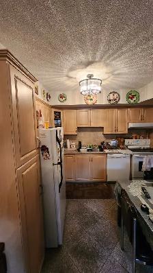 Toronto Homeowner | Thinking to Renovate or Redesign Your Space? - Photo 9