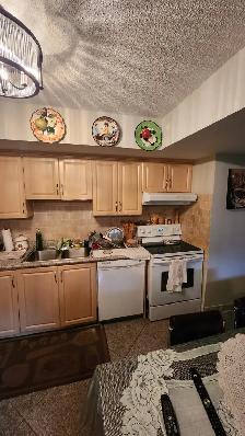 Toronto Homeowner | Thinking to Renovate or Redesign Your Space? - Photo 10
