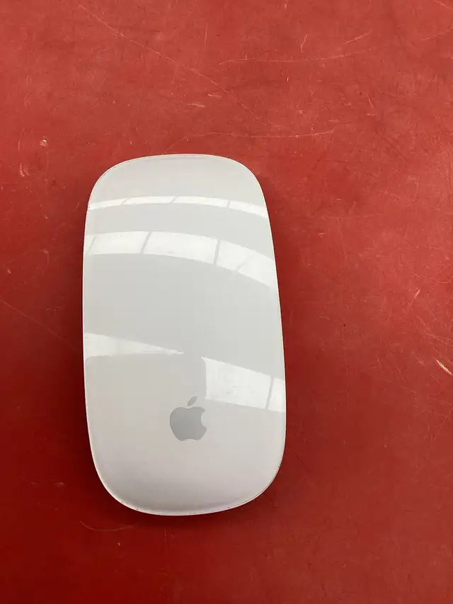 souris ordinateur Apple Magic Mouse