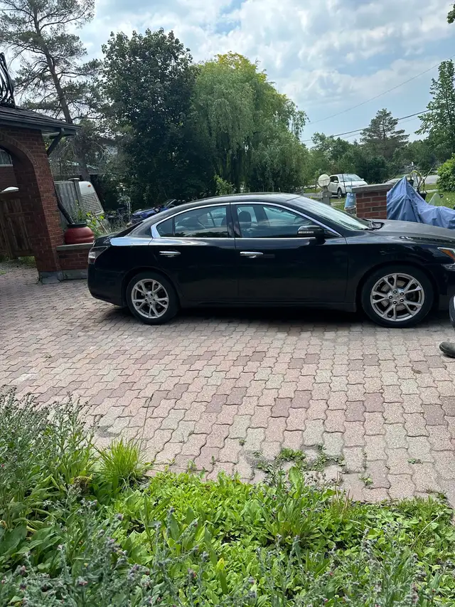 Certified 2014 Maxima