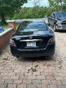 Certified 2014 Maxima - Photo 3