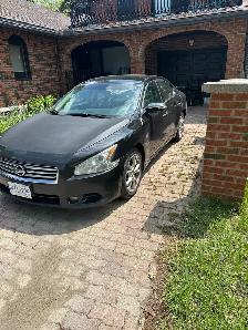 Certified 2014 Maxima - Photo 4