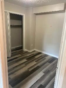 1 Bedroom 1 Bathroom - Photo 3